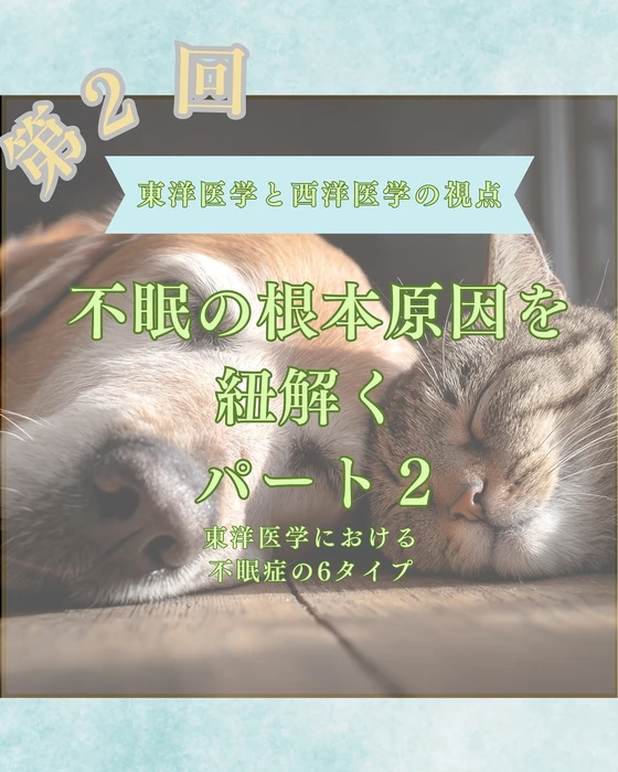 画像578