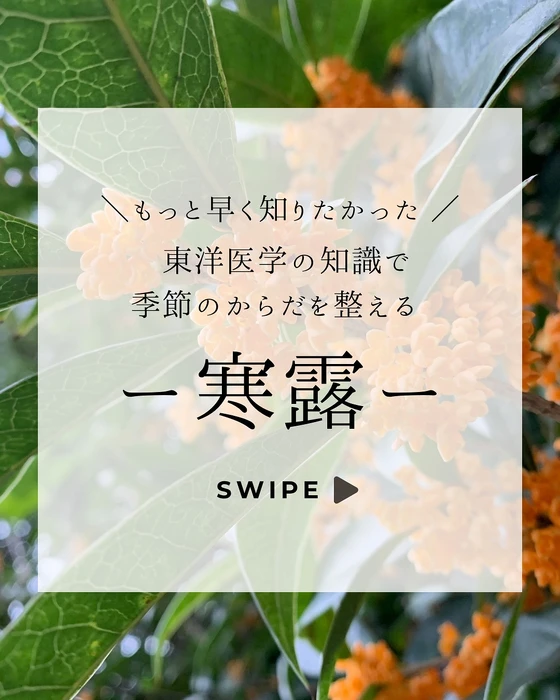 画像597