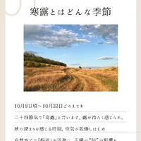 画像598
