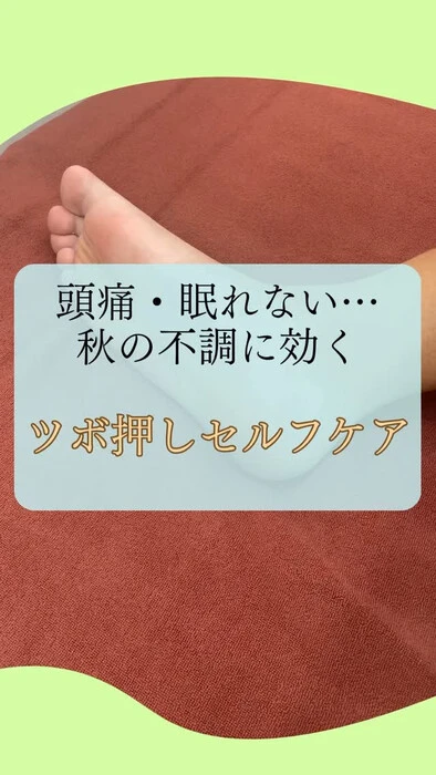 画像607
