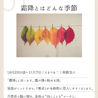 画像627