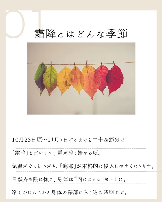 画像627