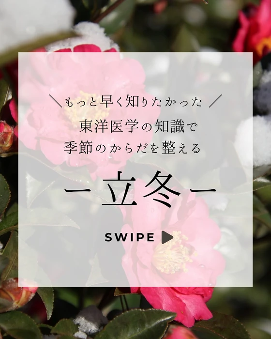 画像661