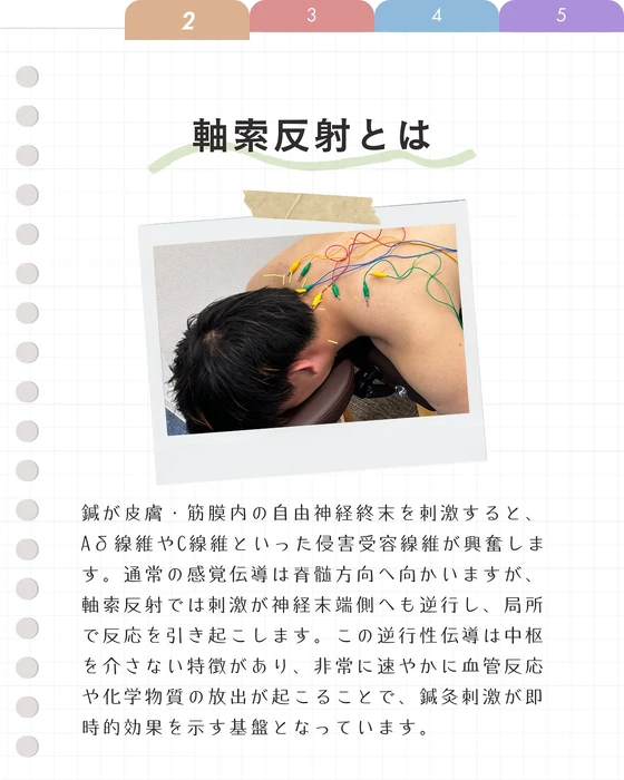 画像676
