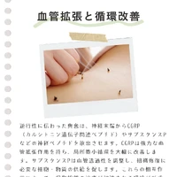 画像677