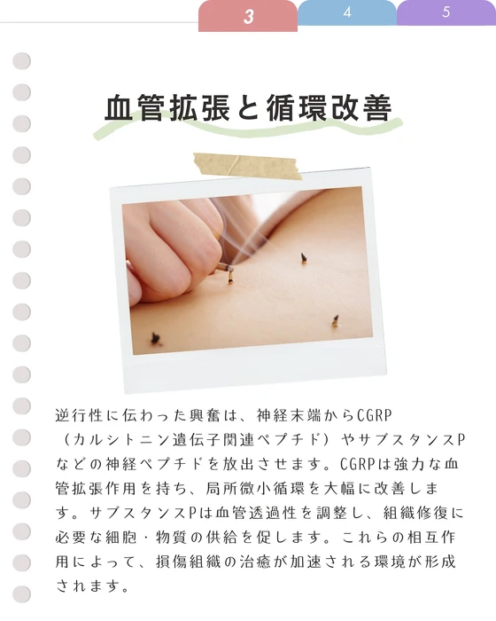 画像677