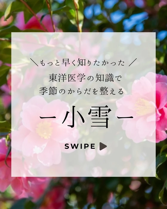 画像688
