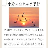 画像754