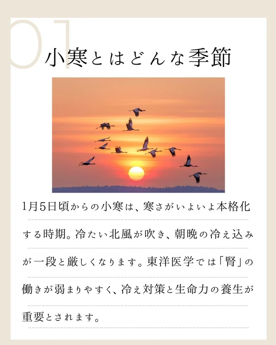 画像754