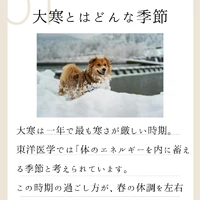 画像778