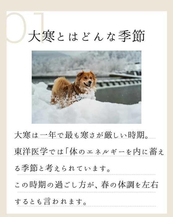 画像778