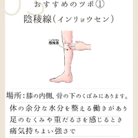 画像828