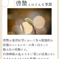 画像854