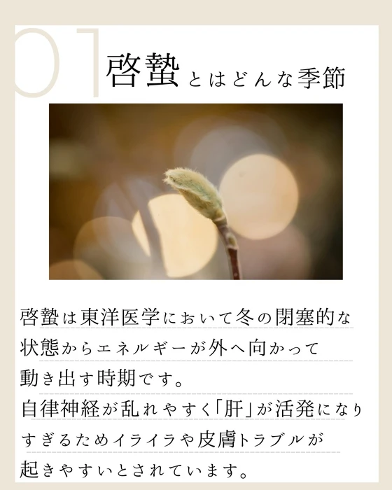 画像854