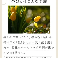 画像881
