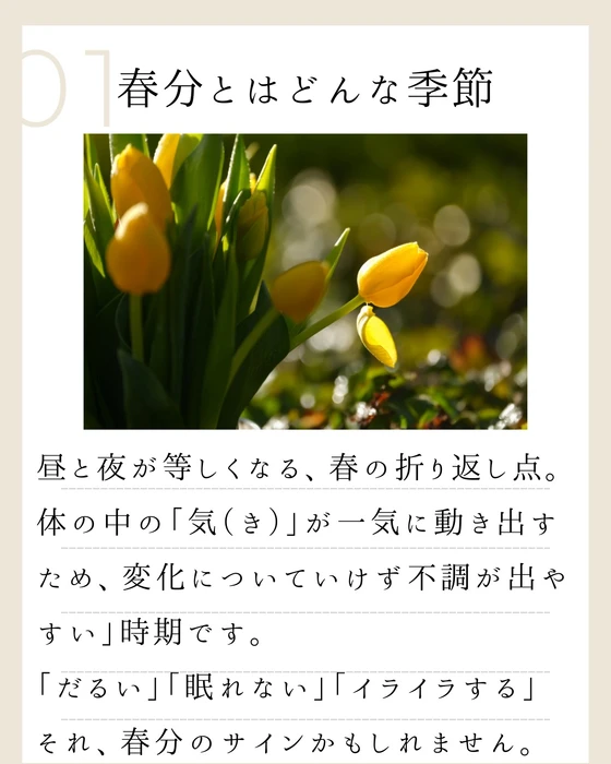 画像881