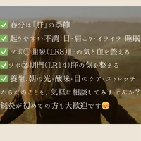 画像886