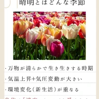 画像910