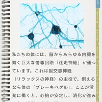 画像954
