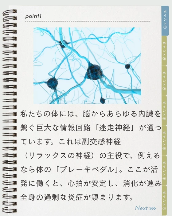 画像954