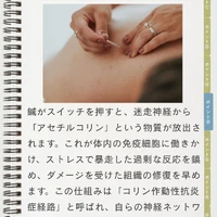 画像957