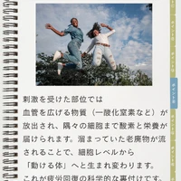 画像986